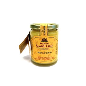 cardo-amodeo