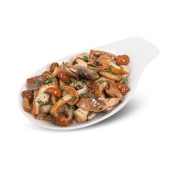 nuovo_progetto_-_2024-01-03t102524